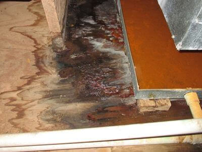 About Havenology - water damage restoration experts in Burbank